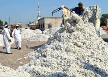 Historic Crisis Hits Pakistan’s Cotton Industry as 50% of Ginning Factories Shut Down