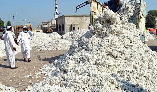Historic Crisis Hits Pakistan’s Cotton Industry as 50% of Ginning Factories Shut Down