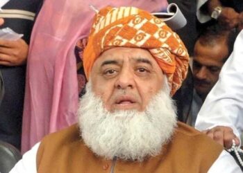 Assuring Maulana Fazl ur Rehman's government to vote on the constitutional amendment
