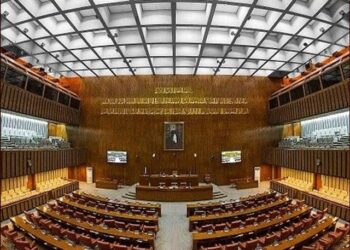 Senate Committees Strongly Criticize Energy Crisis, Construction Mismanagement, and Financial Irregularities