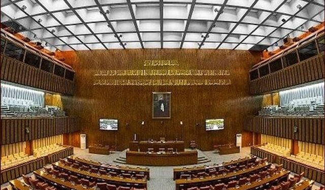 Senate Committees Strongly Criticize Energy Crisis, Construction Mismanagement, and Financial Irregularities