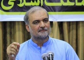 Assets of those contracting with IPPs should be frozen, Hafiz Naeemur Rehman