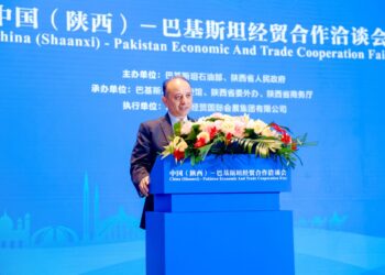 Federal Minister for Petroleum Dr Musadik Malik addressing the China – Pakistan Economic and trade cooperation Conference in Xian,China