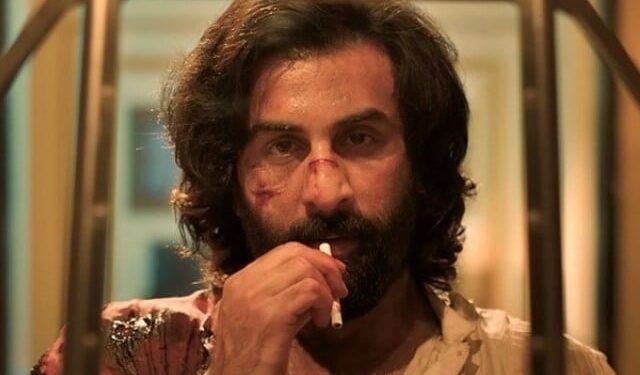 Ranbir Kapoor's film 'Animal' hit the field in IIFA 2024