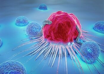 20% of cancer patients in Pakistan are suffering from blood cancer, expert