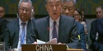 The Security Council should assume its primary responsibility,China