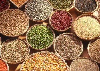 Declining trend in consumption of food grains in July, August