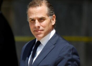 US President Joe Biden's son has pleaded guilty to tax evasion charges