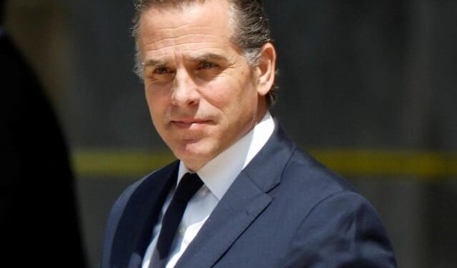 US President Joe Biden's son has pleaded guilty to tax evasion charges