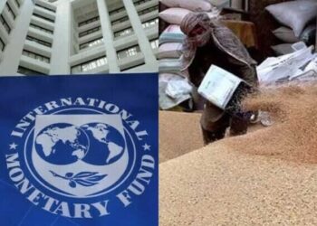 The IMF stopped the government from fixing support prices for crops