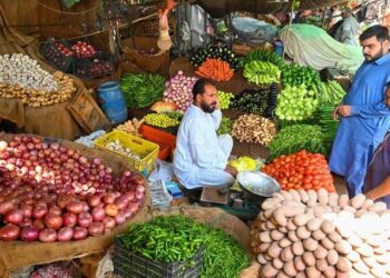 Inflation on the Rise in Pakistan: A Detailed Analysis of the Third Week of the New Fiscal Year