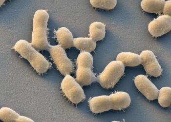 Drug-resistant infections predict 30 million deaths by 2050