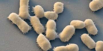 Drug-resistant infections predict 30 million deaths by 2050