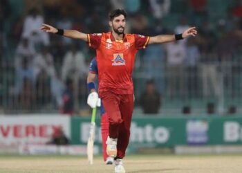 Champions ODI Cup: Stallions beat Dolphins by a huge margin of 174 runs