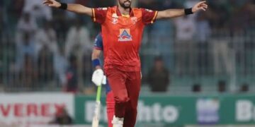 Champions ODI Cup: Stallions beat Dolphins by a huge margin of 174 runs