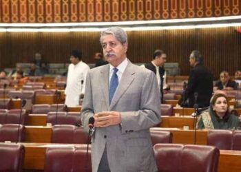 PP leader Naveed Qamar will not support an action like attack on Parliament