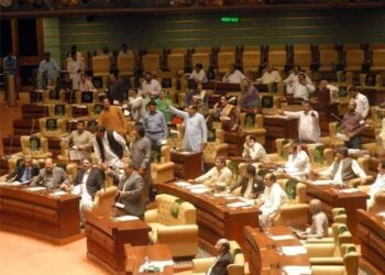 Resolution to pay homage to martyrs of MRD passed in Sindh Assembly