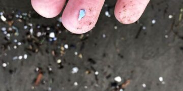 Everyday plastic has the potential to penetrate the brain, research shows