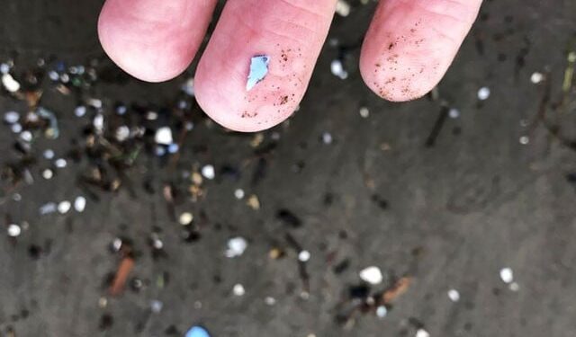 Everyday plastic has the potential to penetrate the brain, research shows