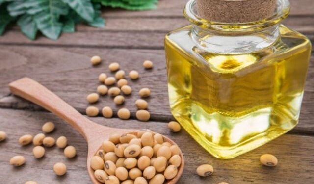 Pakistan considering import of banned GMO soybeans