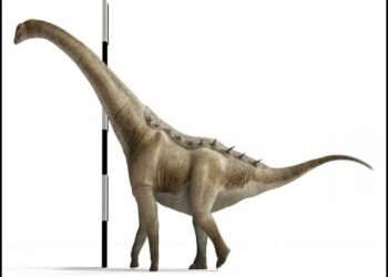 Scientists have discovered a 75-million-year-old species of dinosaur