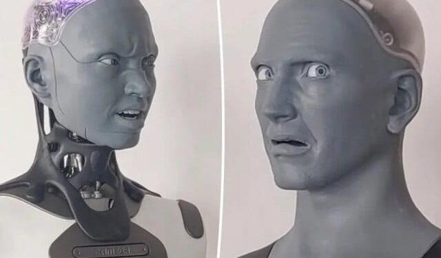 Two AI robots teasing each other goes viral