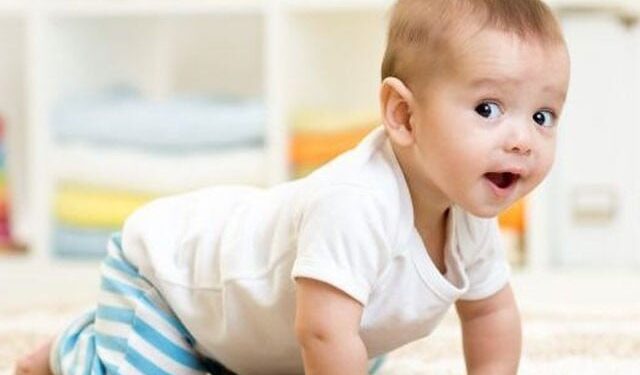 Home carpets are considered dangerous for children