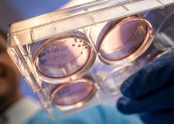 Work is underway on the plan to make organs in space and bring them to earth