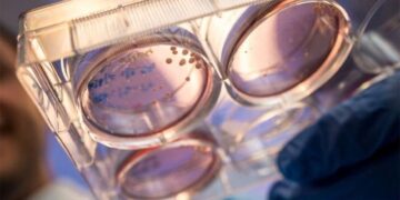 Work is underway on the plan to make organs in space and bring them to earth