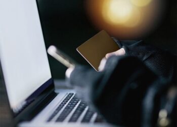 Tool introduced to protect against online fraud