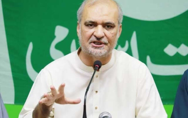 Will use our platform against the government, will not be part of any movement, Hafiz Naeem