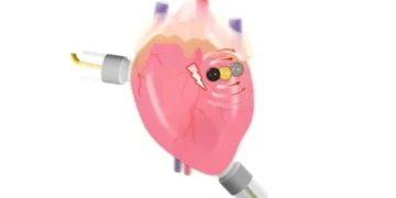 New type of biodegradable battery invented