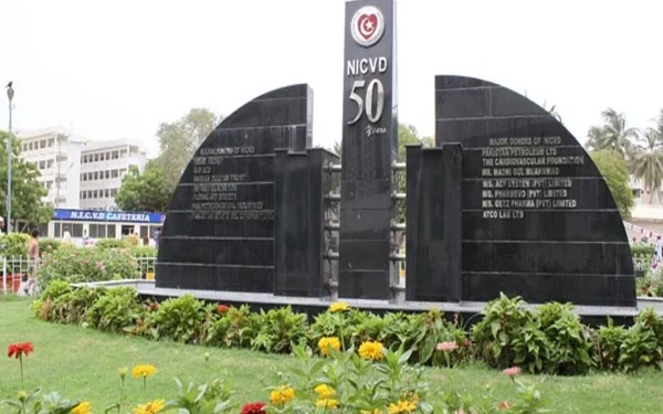 Complaints of irregularities in NICVD in last 3 years, Auditor General