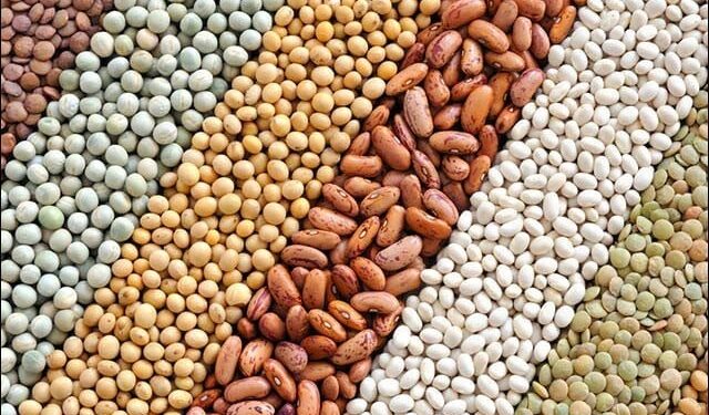 Decision to produce fruit, oil seed and vegetable seeds in Sindh, new app also ready