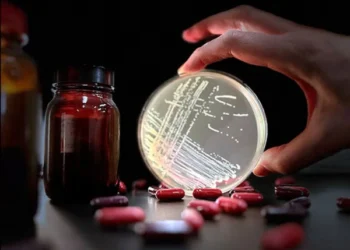 Common Antibiotics May Cause Superbugs, Research