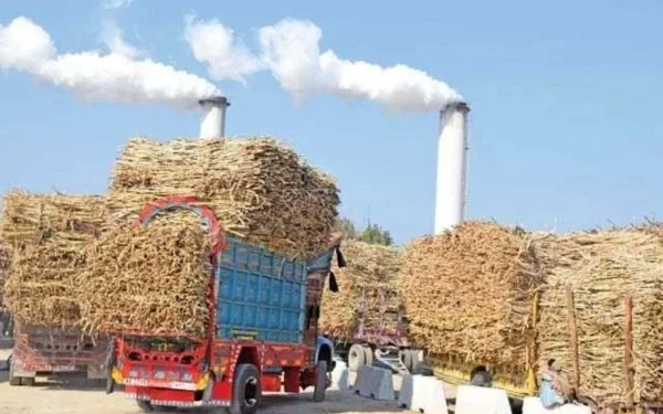 Full track and trace system implemented on sugar sector till November 15