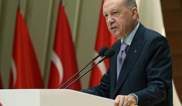 Security Council to stop Israeli attacks in Gaza and Lebanon, Tayyip Erdogan