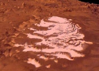 The possibility of life in Martian ice