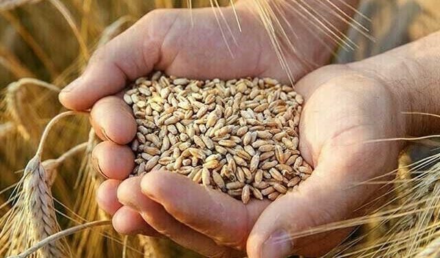 Demand of farmers to take into confidence the policy of not buying wheat