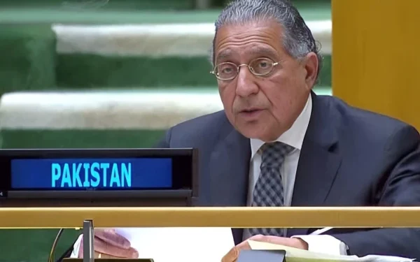 United Nations Security Council; Pakistan opposed the new permanent seats