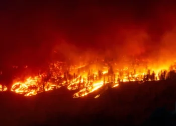 Artificial intelligence systems pose a serious threat to the environment