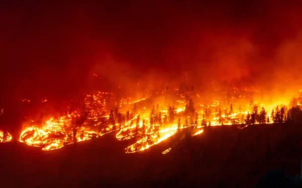 Artificial intelligence systems pose a serious threat to the environment