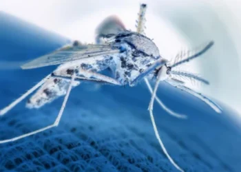 Malaria is becoming resistant to a special drug given to children