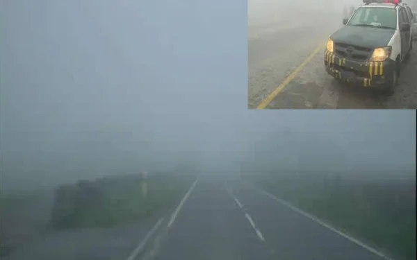 Different cities of Punjab are engulfed in heavy fog, motorways are closed