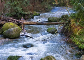 Alarming decline in fresh water reserves in the world