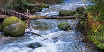 Alarming decline in fresh water reserves in the world