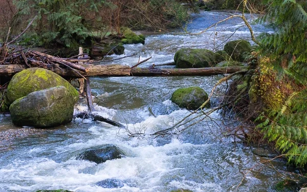 Alarming decline in fresh water reserves in the world