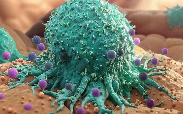 Cancer to account for 27% of deaths by 2050, study says