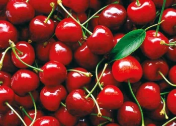 Cherries are useful for joint pain