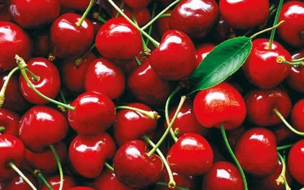Cherries are useful for joint pain